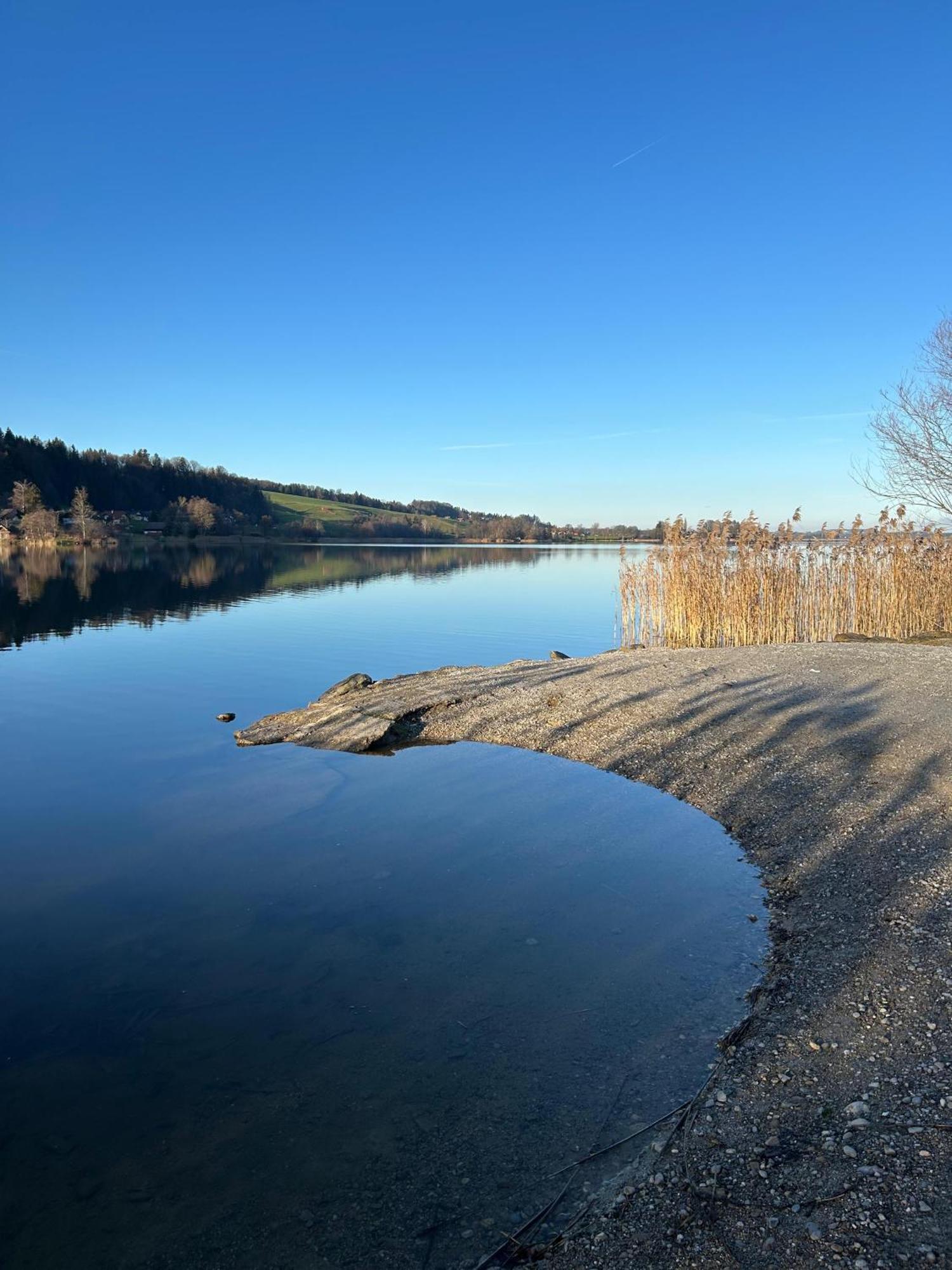 Am Obertrum am See